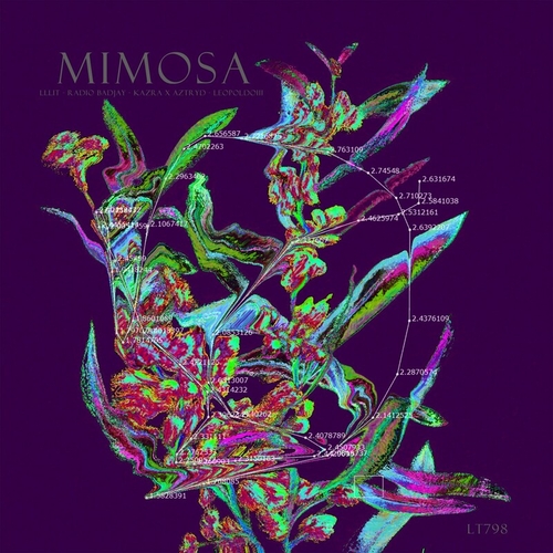 LLLIT - Mimosa [LT012]